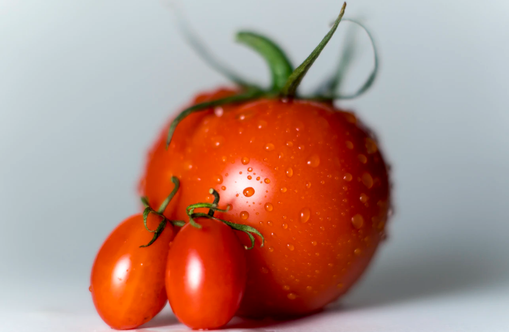 爱吃西红柿的来集合！身为一颗西红柿竟如此优秀