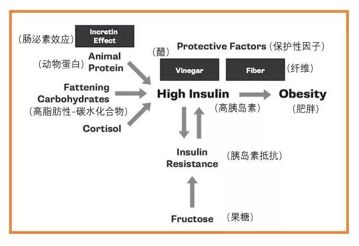 减肥中运动占的效果比重竟如此少，想要减肥就得控制这种激素