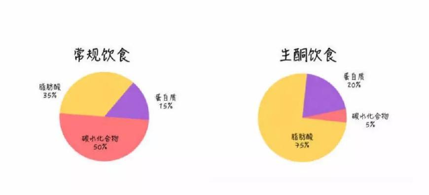 生酮饮食的副作用：你更容易喝醉