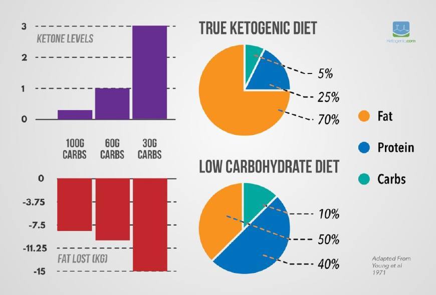 低碳水饮食和生酮饮食区别（下篇）