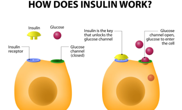 如果你知道生酮对糖尿病有帮助，但你对胰岛素的了解有多少呢