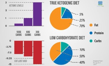 低碳水饮食和生酮饮食区别（下篇）